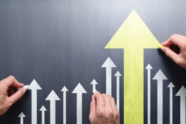 Business Management & Executive Leadership Development